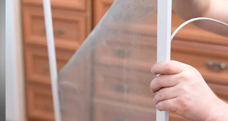 Privacy Mesh Screen Door Installation in Safety Harbor, FL