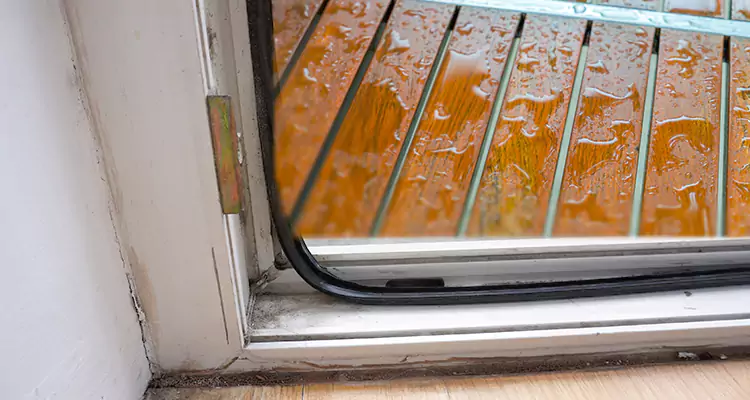 Water Leaking Wooden Patio Doors Repair in Safety Harbor, FL