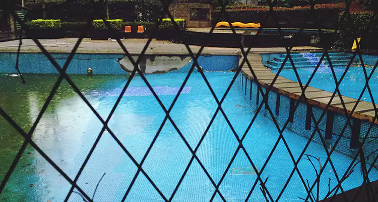 Lanai Screen Repair in Safety Harbor, FL