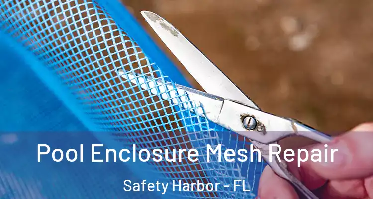 Pool Enclosure Mesh Repair Safety Harbor - FL